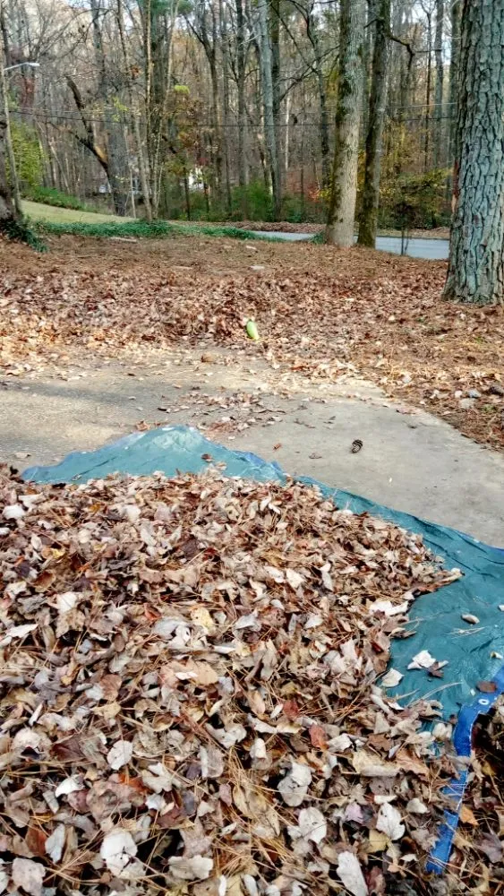 Expert landscape design in Palmetto, GA - Future Vision Incorporation