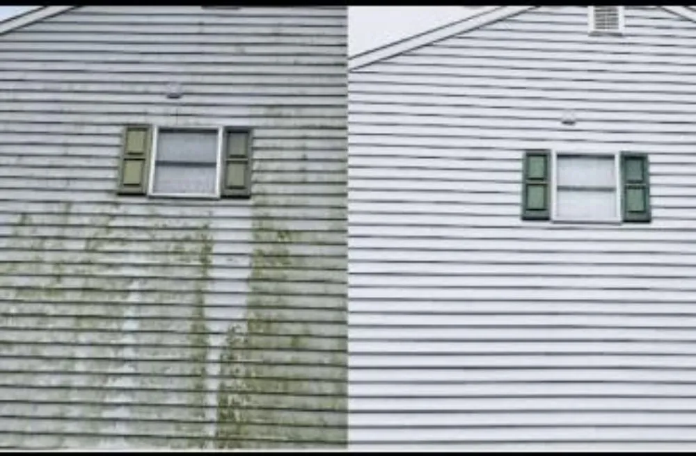 Custom landscape design for beautiful yards across Palmetto, GA - Future Vision Incorporation