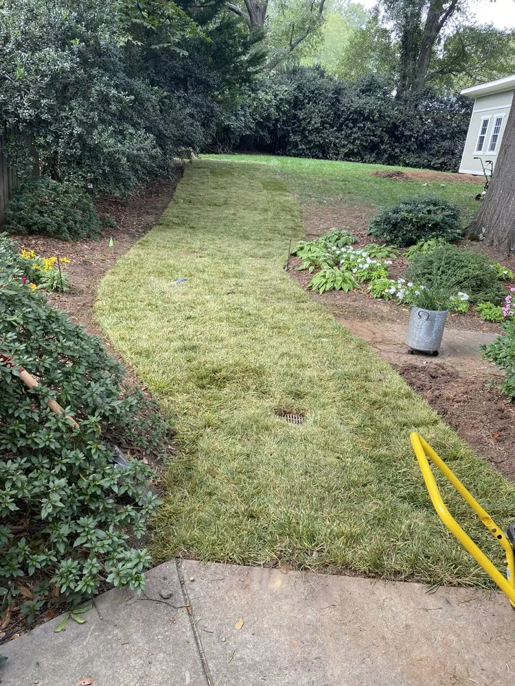 Professional lawn care service in Greenville, SC by Future Vision Landscaping