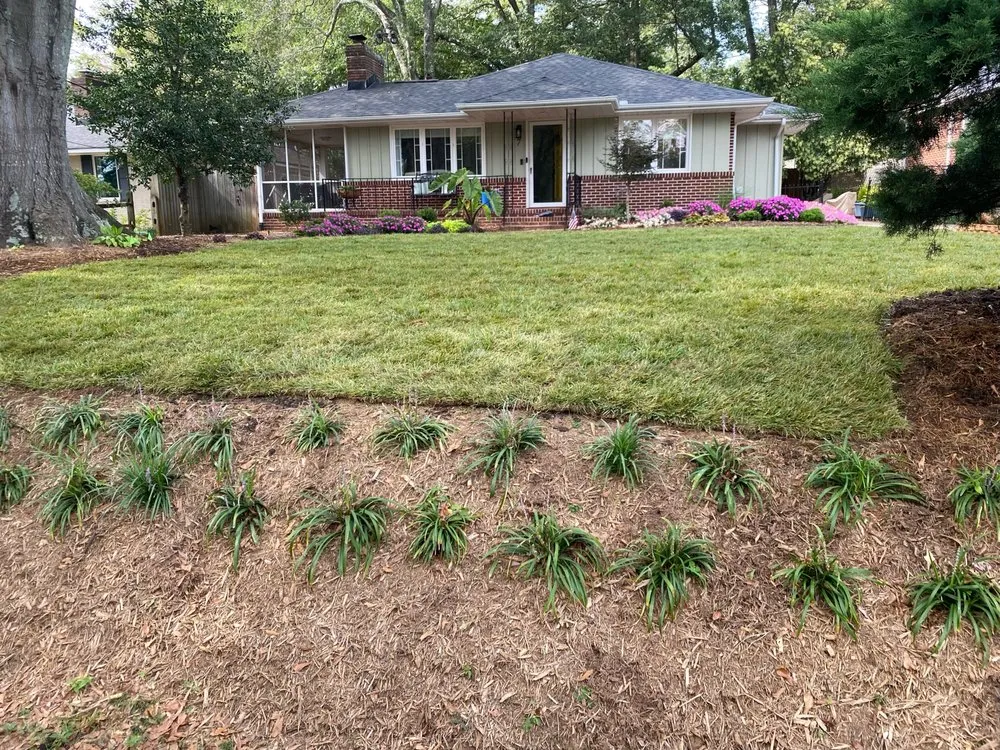 Custom yard cleanup service for homes in Greenville, SC by Future Vision Landscaping