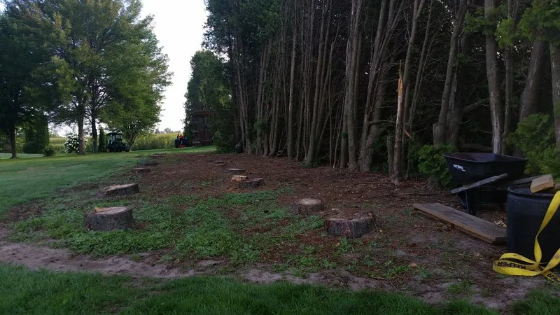 Expert landscape design in Manitowoc, WI by Futurewood Farm and Diversified Services