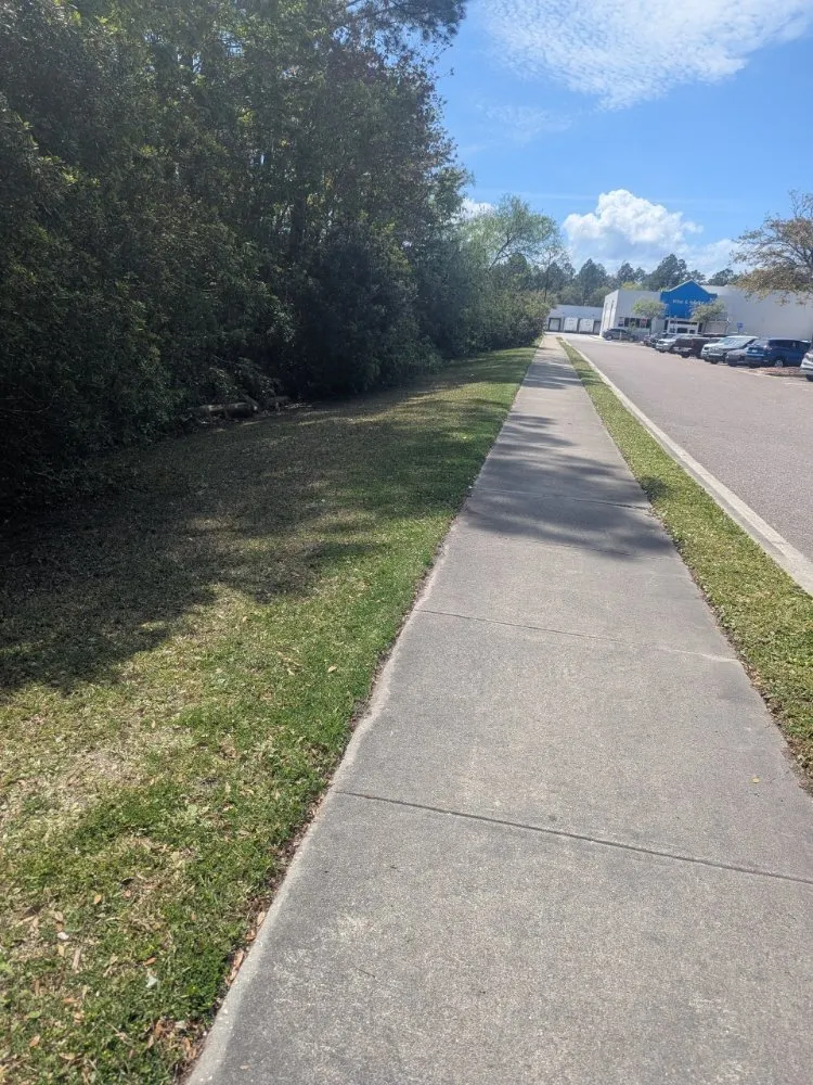 Expert landscape design in Middleburg, FL by Fuzion Services