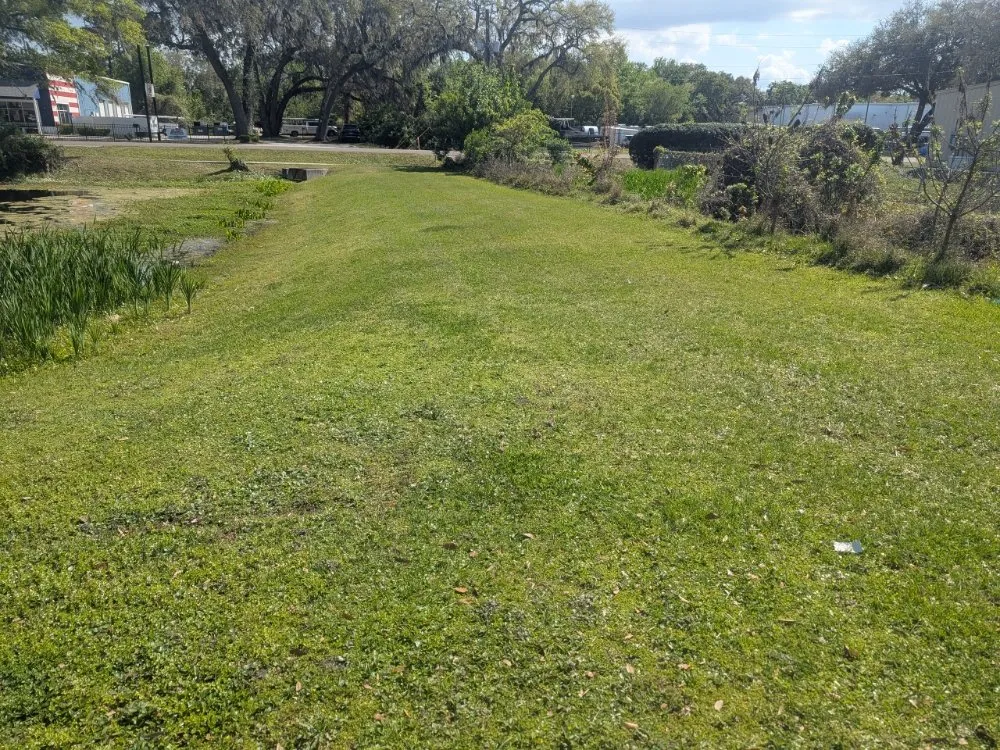 Reliable outdoor landscaping for year-round maintenance across Middleburg, FL - Fuzion Services