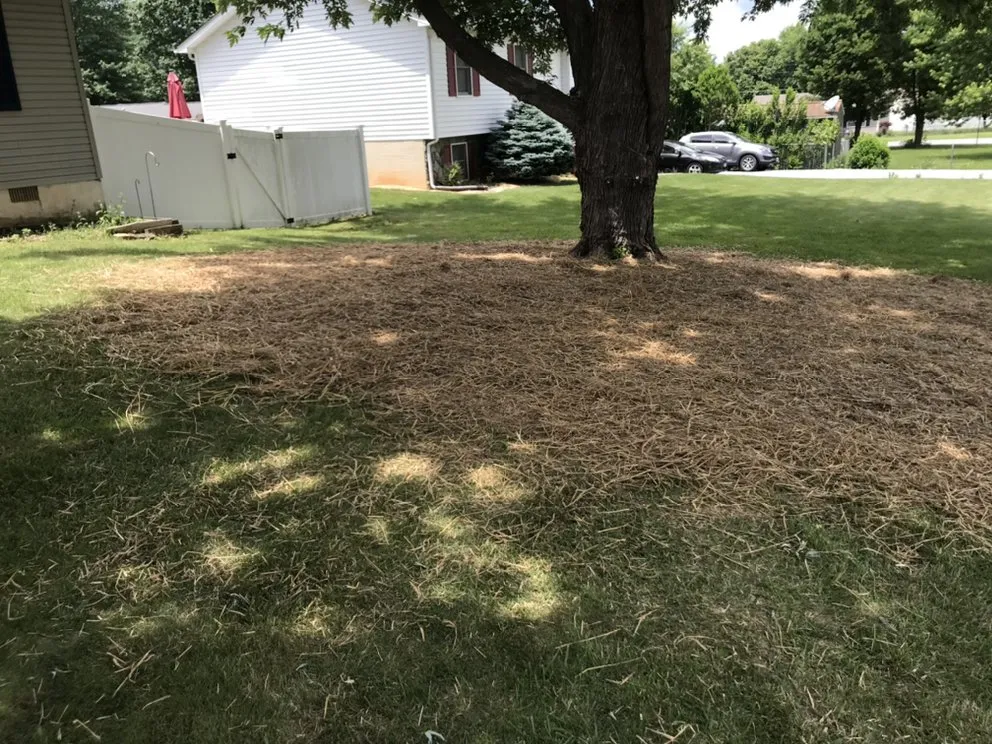 Professional yard maintenance for residential properties in Stuarts Draft, VA by Fuzzy Lawn Care