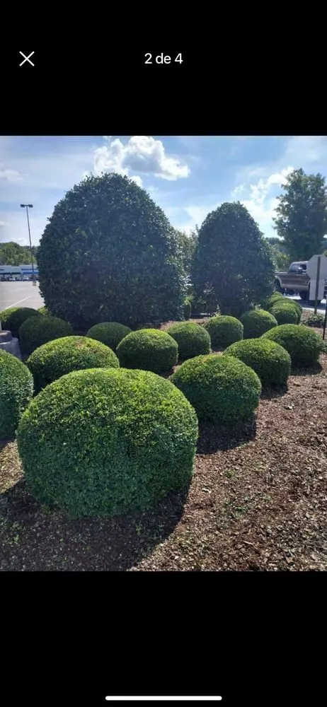 Top-rated yard cleanup service near you across Dover, NJ - FV Stars Landscaping