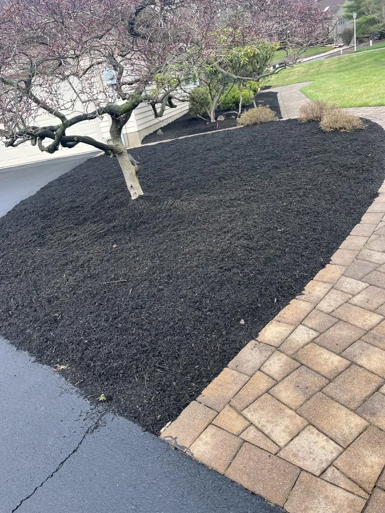 Affordable landscape installation in Dover, NJ - FV Stars Landscaping