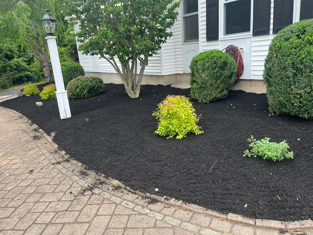 Expert landscaping services for residential properties across Dover, NJ - FV Stars Landscaping