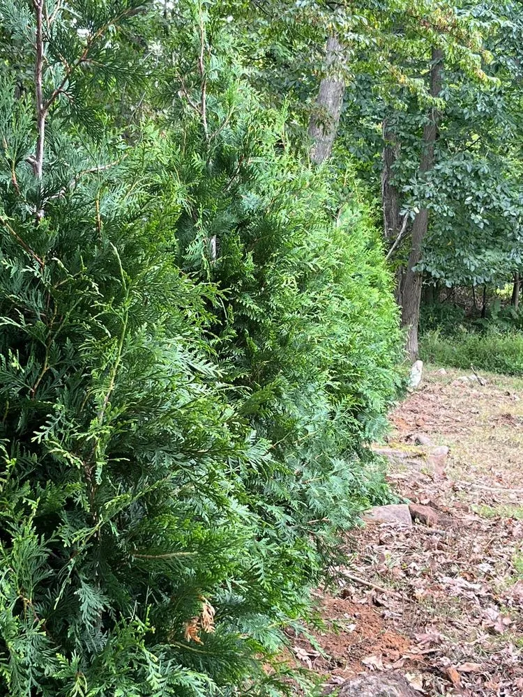 Local residential landscaping with custom design across Dover, NJ - FV Stars Landscaping