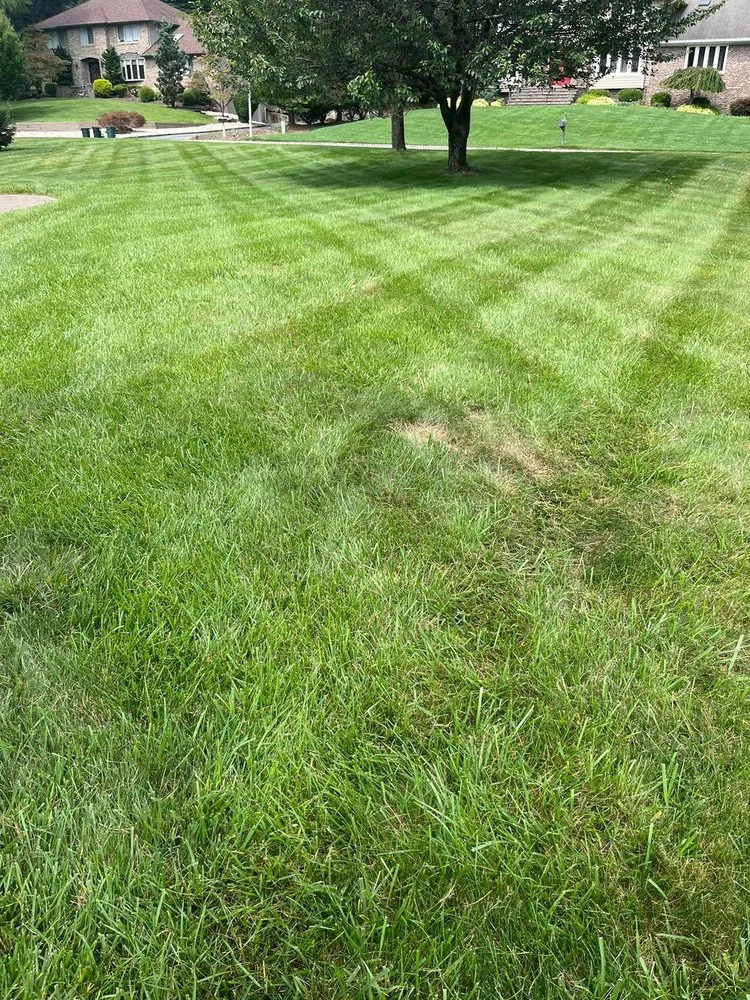 Expert landscaping services for residential properties across Dover, NJ - FV Stars Landscaping