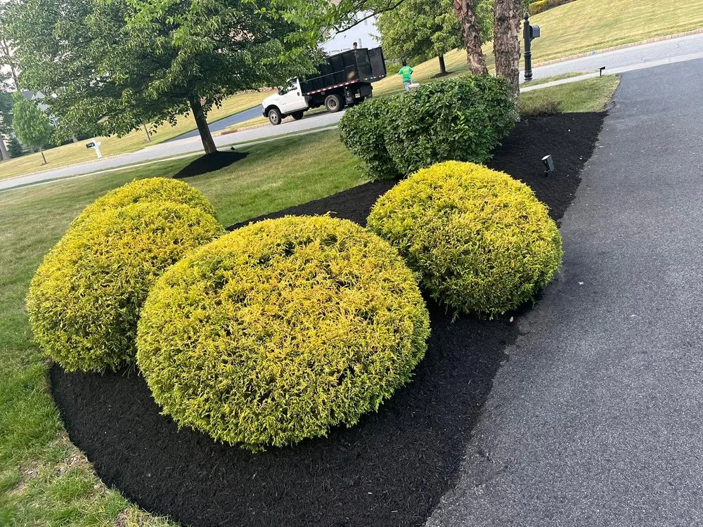 Custom landscape installation in Dover, NJ by FV Stars Landscaping