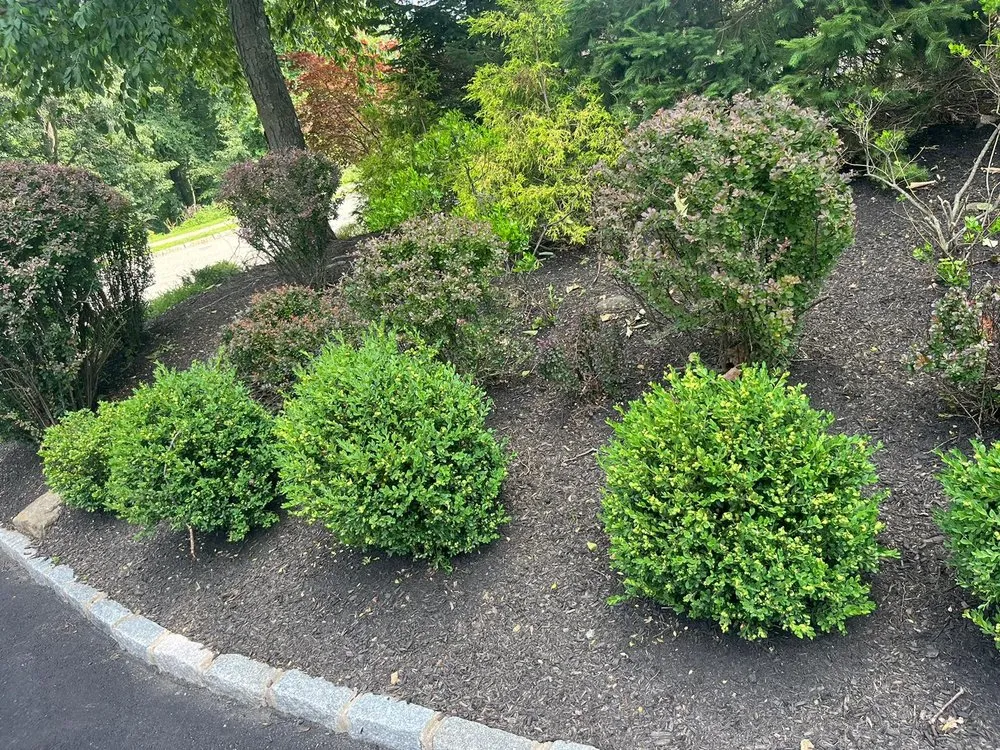 Top-rated garden landscaping near you in Dover, NJ by FV Stars Landscaping