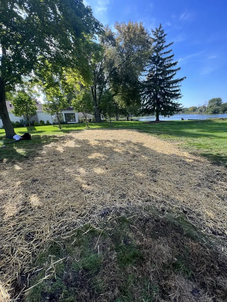 Professional garden landscaping in Wheeling, IL - F.Valencia & Son Landscaping