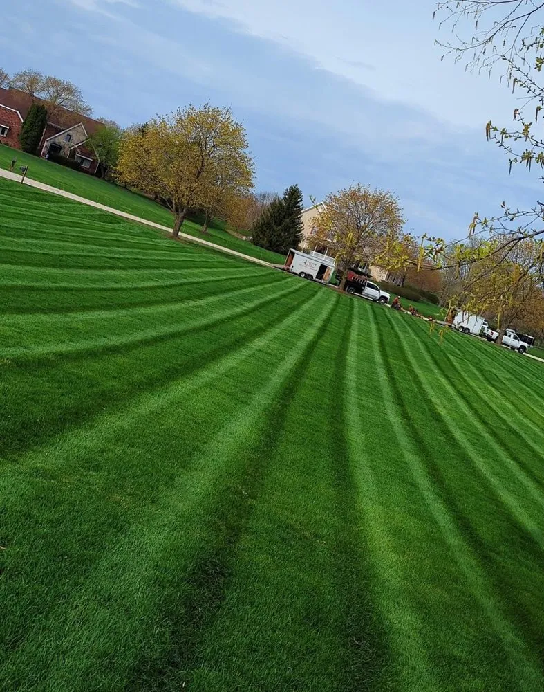 Local landscape design for year-round maintenance in Wheeling, IL by F.Valencia & Son Landscaping