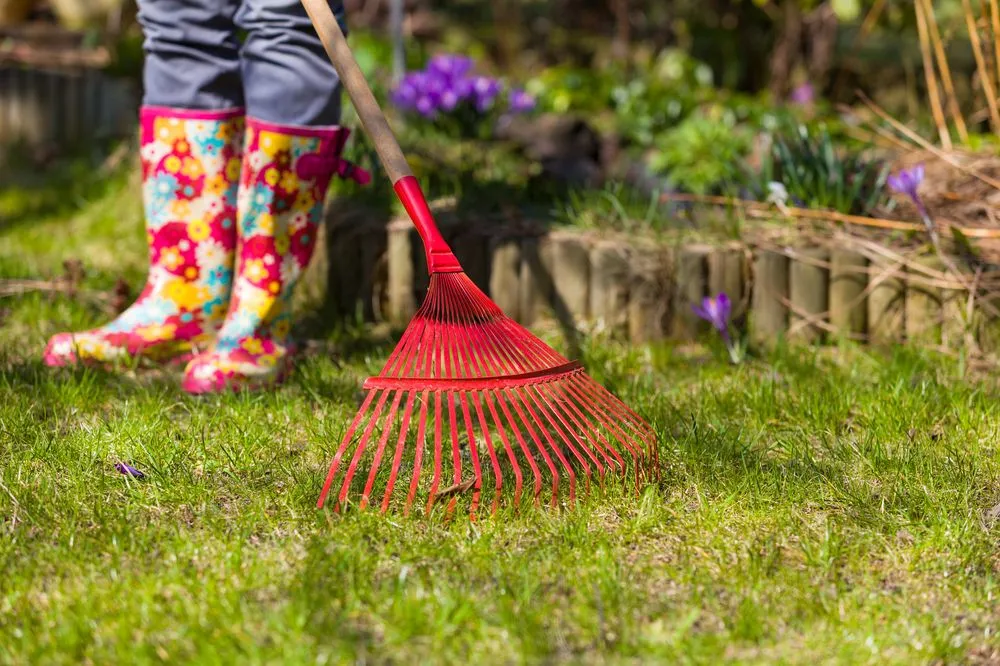 Expert landscaping services for outdoor upgrades in Riverdale, MD by FVS Landscaping