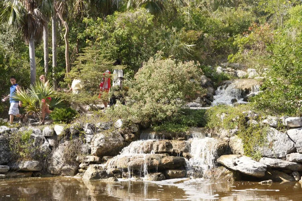 Professional residential landscaping for beautiful yards in Winter Park, FL by FWG Designs