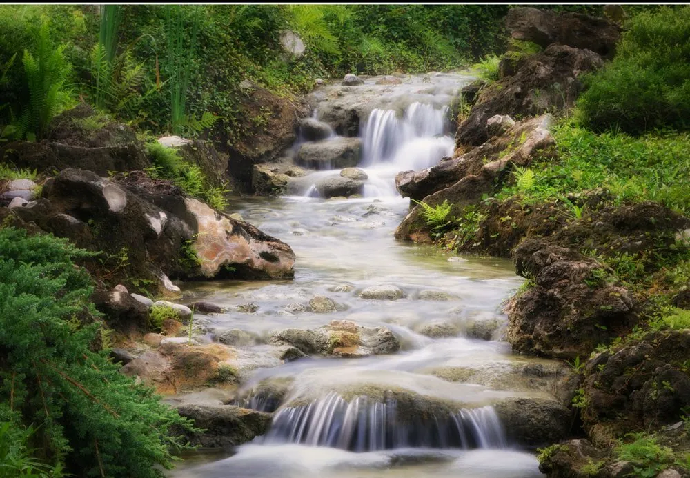 Custom outdoor landscaping experts serving Winter Park, FL - FWG Designs