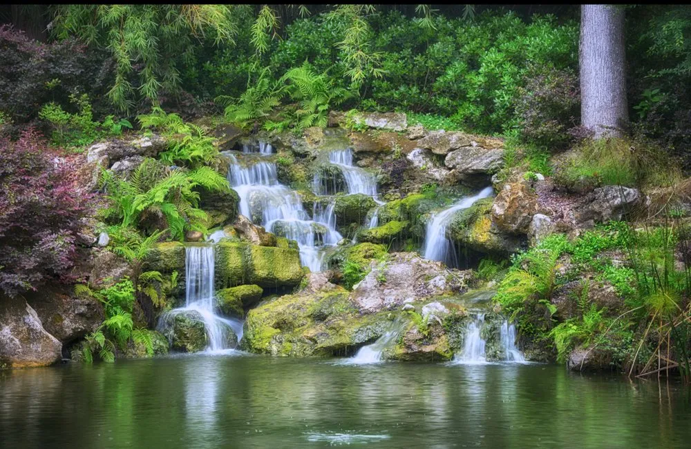 Reliable outdoor landscaping experts serving Winter Park, FL - FWG Designs