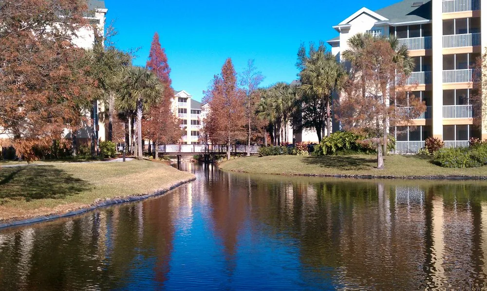 Professional yard maintenance near you across Winter Park, FL - FWG Designs