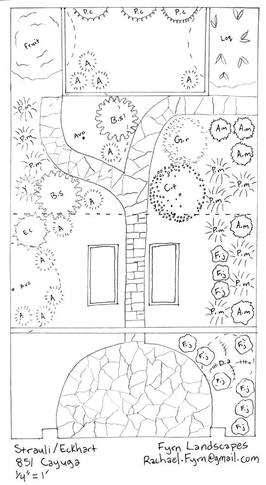 Trusted lawn care service in San Francisco, CA by Fyrn Landscapes