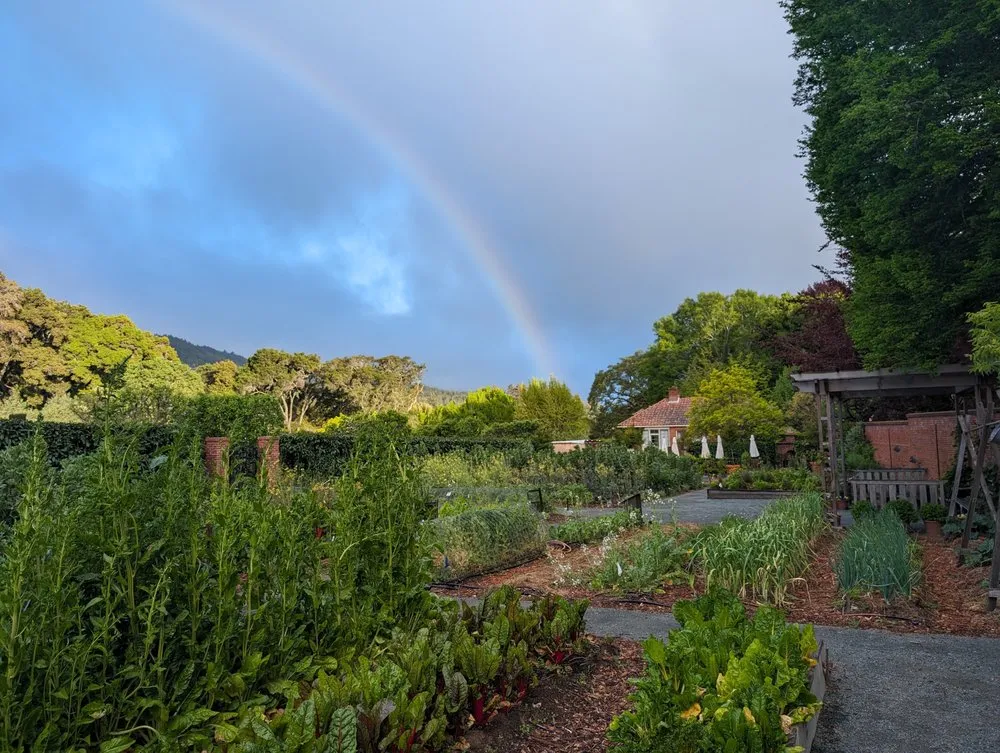 Expert lawn mowing service near you across San Francisco, CA - Fyrn Landscapes