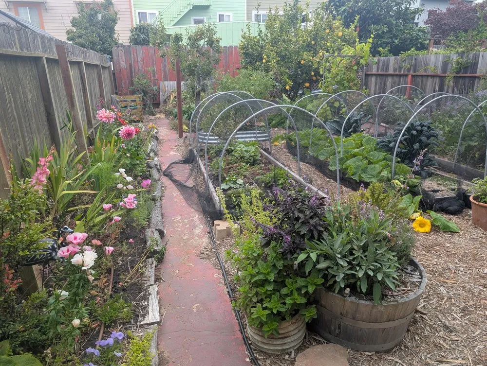 Trusted landscape installation in San Francisco, CA by Fyrn Landscapes