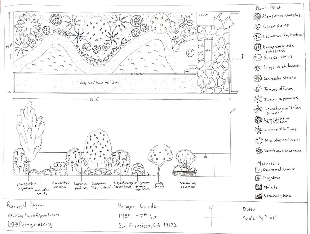 Custom residential landscaping in San Francisco, CA by Fyrn Landscapes