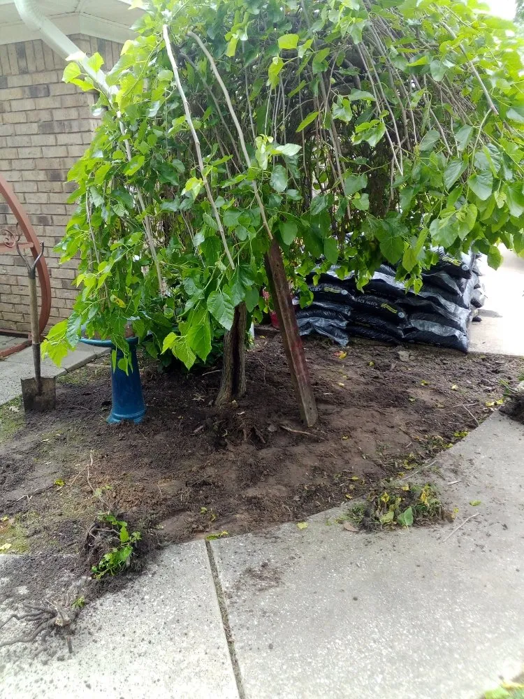 Expert garden landscaping experts serving Longview, TX - G & B Lawn Care And Landscaping