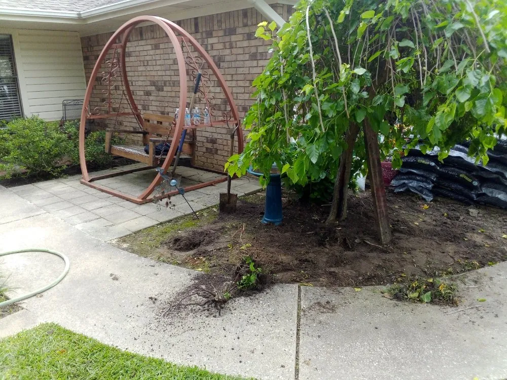 Professional lawn care service for year-round maintenance across Longview, TX - G & B Lawn Care And Landscaping