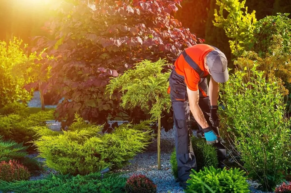 Reliable lawn mowing service experts serving Remington, VA - G & C Landscaping