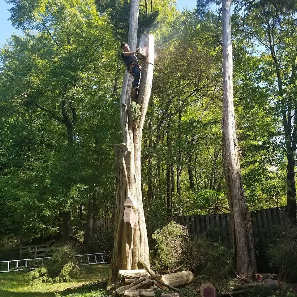 Trusted yard cleanup service in Remington, VA by G & C Landscaping
