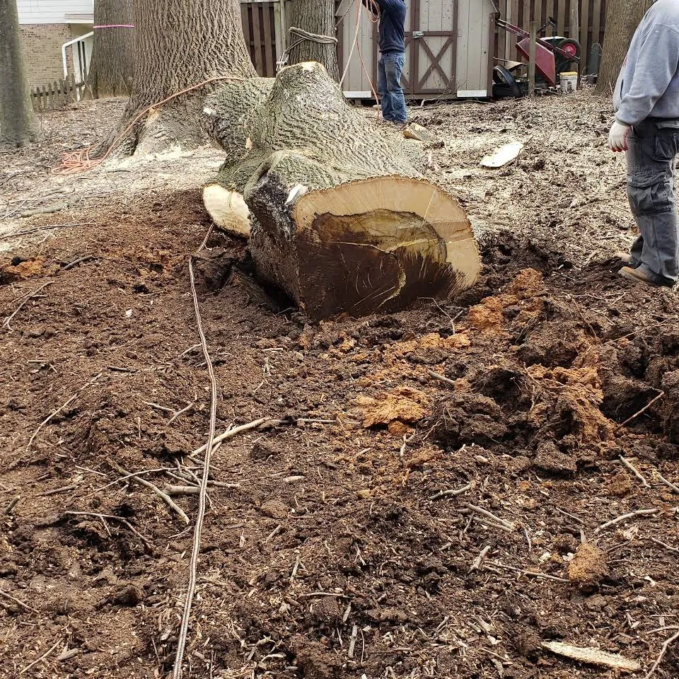 Trusted yard maintenance for residential properties in Remington, VA by G & C Landscaping