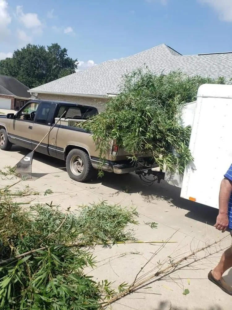 Expert yard maintenance in Scott, LA - G & C Lawn & Landscaping