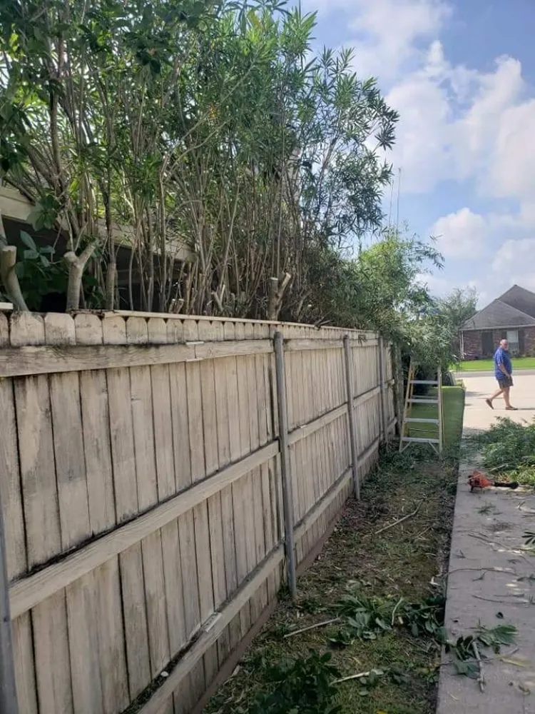 Professional landscape design experts serving Scott, LA - G & C Lawn & Landscaping