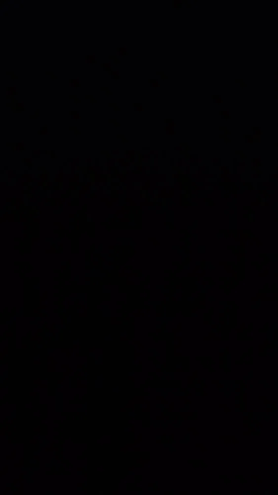 Top-rated yard cleanup service in Concord, NC - G & C Lawn Service