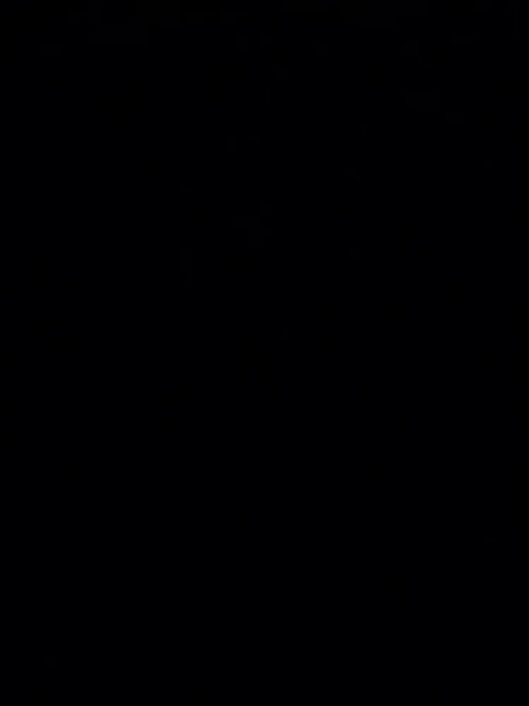 Professional landscape design experts serving Concord, NC - G & C Lawn Service