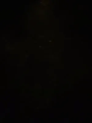 G & C Lawn Service Logo