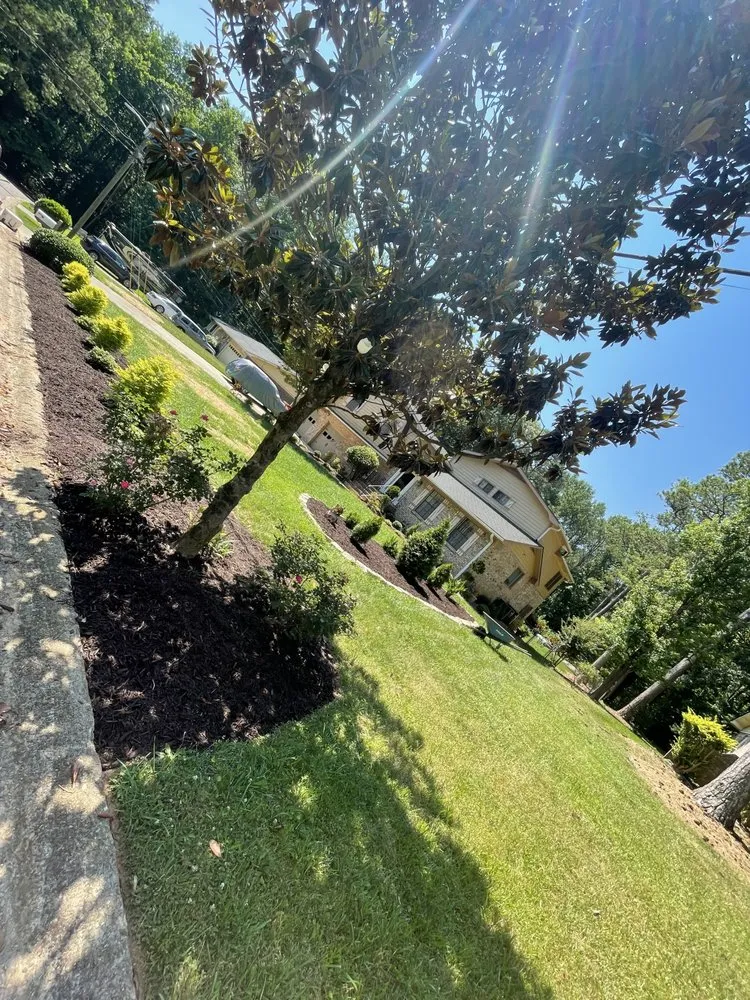 Local yard cleanup service experts serving Ellenwood, GA - G & C Property Management