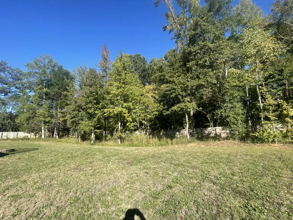 Affordable yard cleanup service in Ellenwood, GA - G & C Property Management