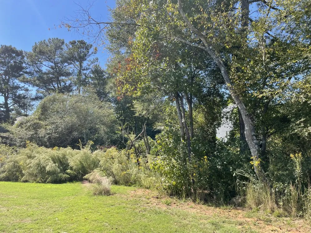 Professional yard cleanup service experts serving Ellenwood, GA - G & C Property Management