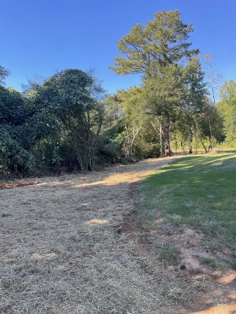 Local landscape design experts serving Ellenwood, GA - G & C Property Management