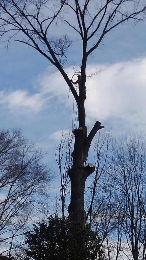 Expert garden landscaping in Fredericksburg, VA - G & C Tree Service