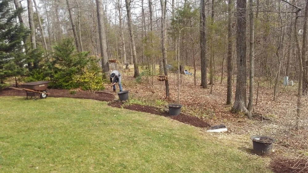 Affordable landscape installation in Fredericksburg, VA by G & C Tree Service