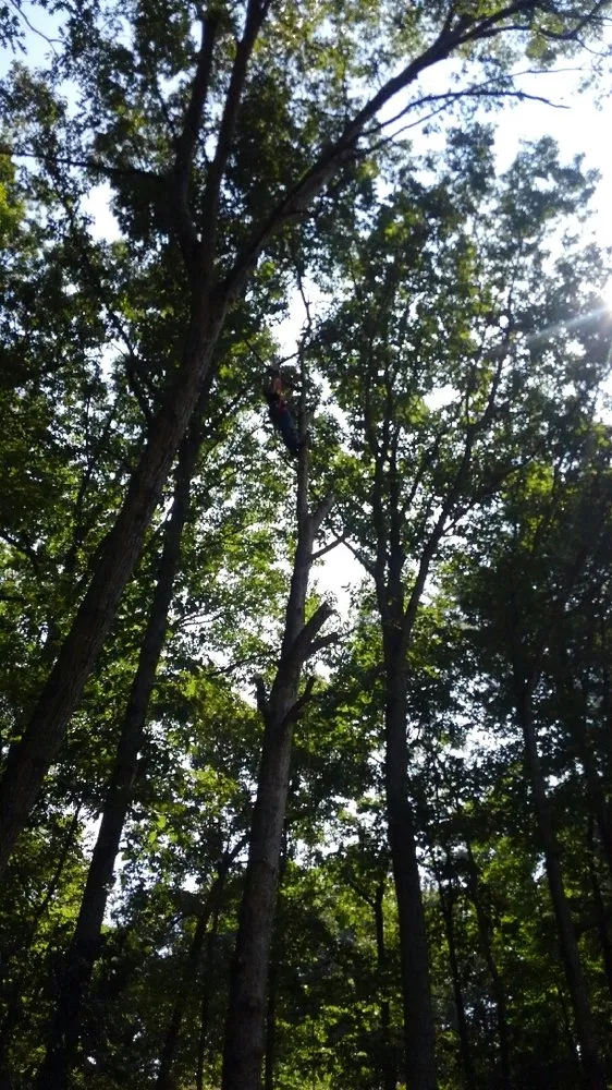 Custom lawn care service for beautiful yards across Fredericksburg, VA - G & C Tree Service