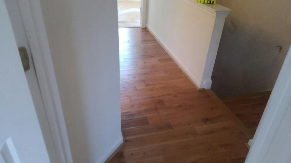 Expert lawn care service for year-round maintenance in Fredericksburg, VA by G & C Tree Service