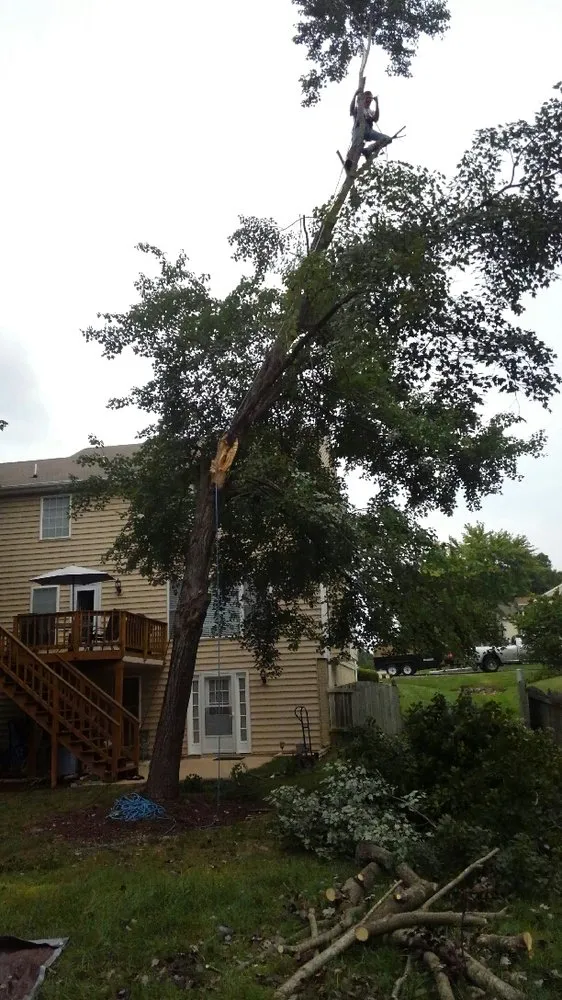 Reliable garden landscaping in Fredericksburg, VA by G & C Tree Service