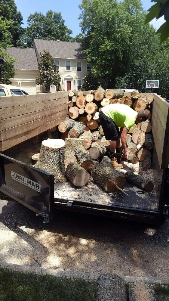 Affordable yard maintenance in Fredericksburg, VA - G & C Tree Service