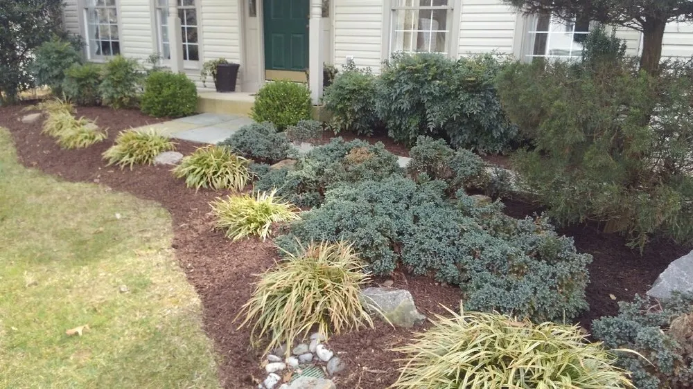 Top-rated lawn care service for homes across Fredericksburg, VA - G & C Tree Service