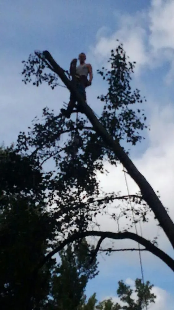 Trusted residential landscaping experts serving Fredericksburg, VA - G & C Tree Service