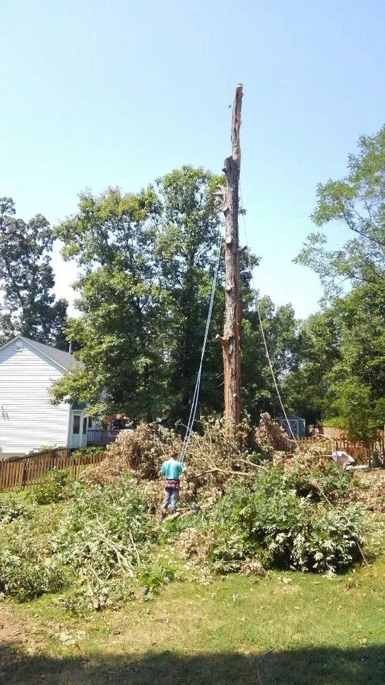 Professional outdoor landscaping in Fredericksburg, VA - G & C Tree Service