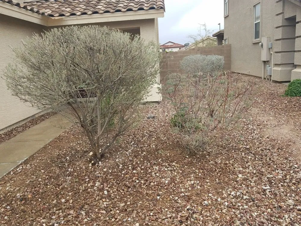 Expert garden landscaping in Buckeye, AZ - G & D Landscaping